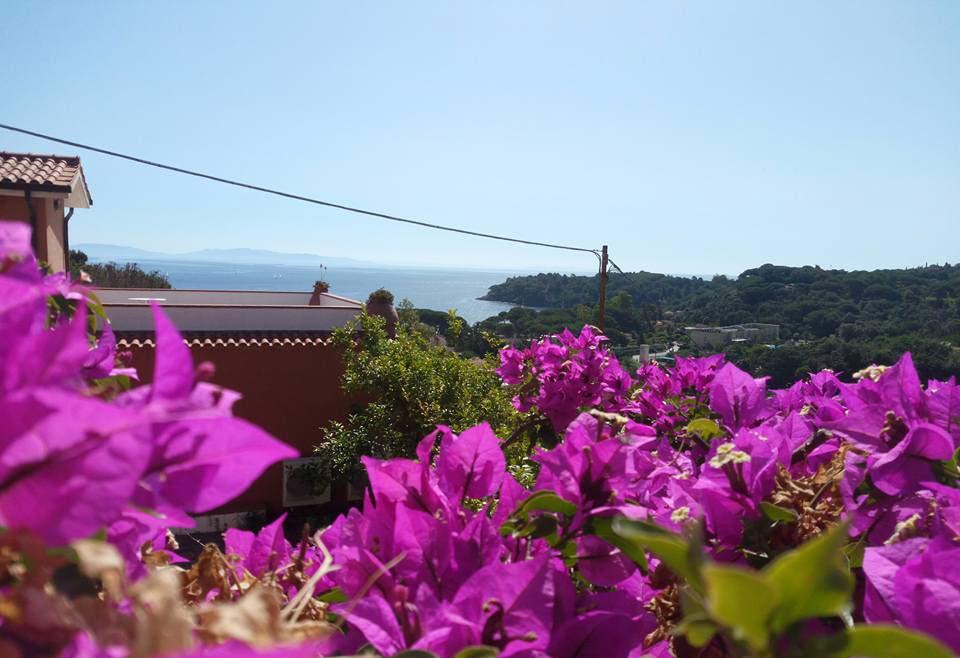 Vista mare dal Residence Elba